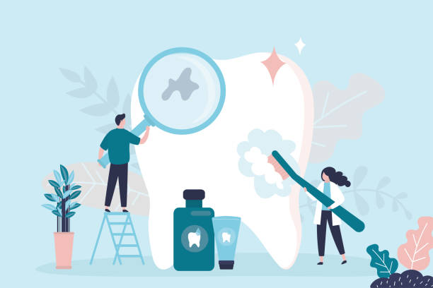 Best Dental Fillings (Composite and Amalgam)  in Naples, FL